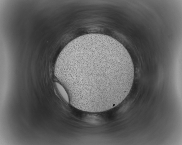 X0000083580753200703091658
