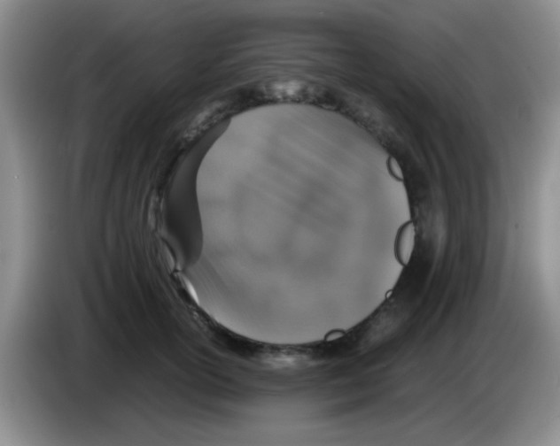 X0000083580754200703091658