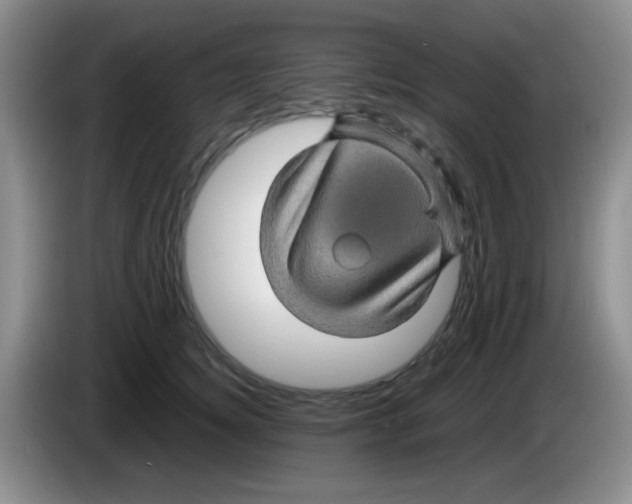 X0000083580756200703091658