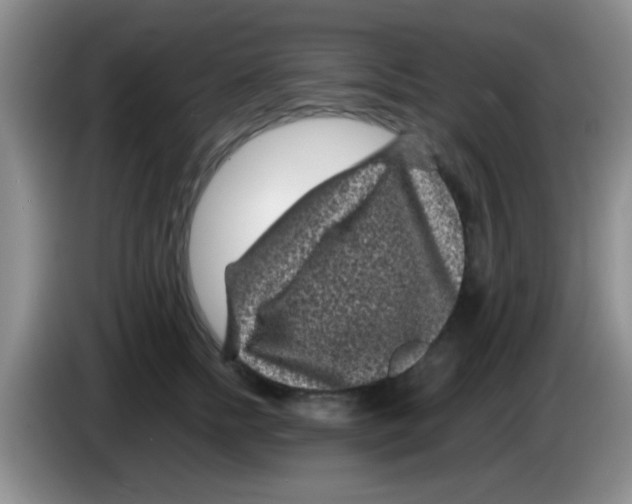 X0000083580758200703091658
