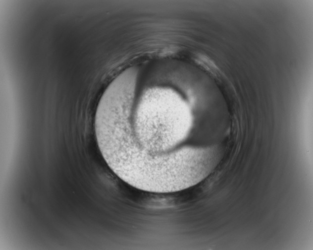 X0000083580760200703091658