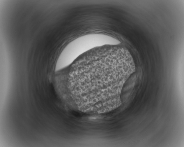 X0000083580761200703091658