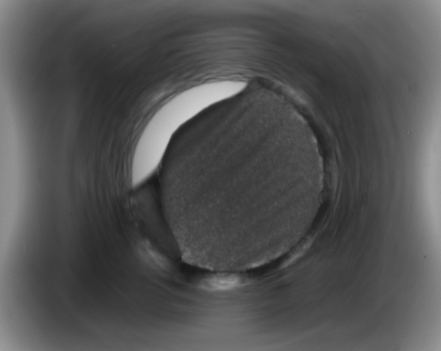 X0000083580762200703091658