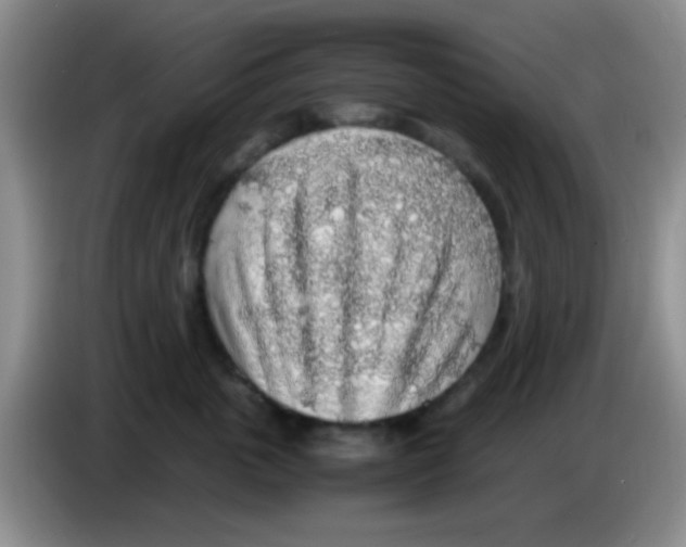 X0000083580763200703091658