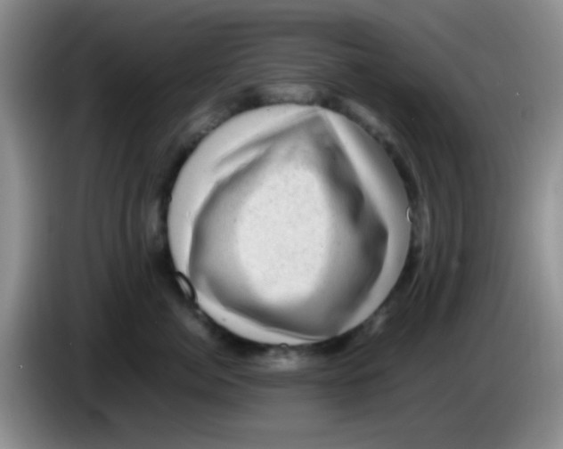 X0000083580764200703091658