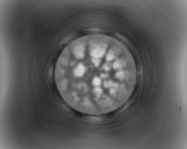 X0000083580765200703091658