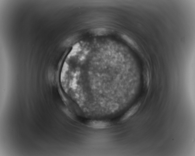 X0000083580766200703091658