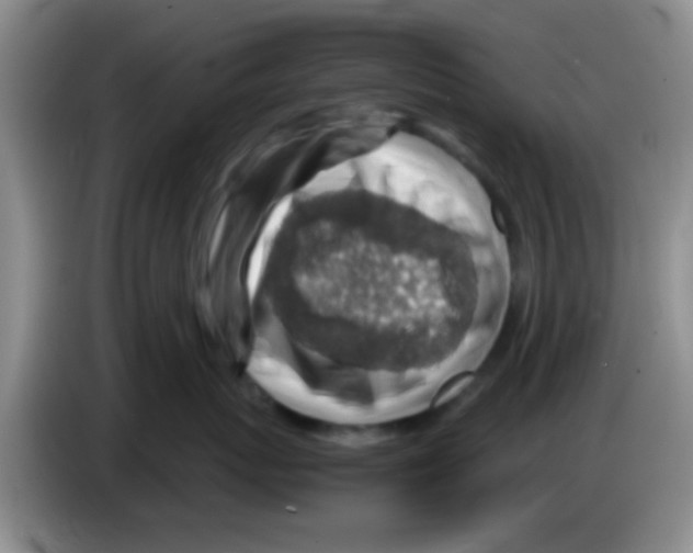 X0000083580767200703091658
