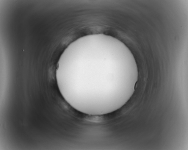 X0000083580768200703091658