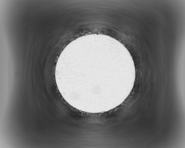 X0000083580769200703091658