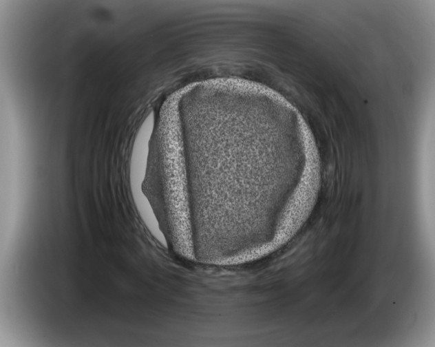 X0000083580772200703091657