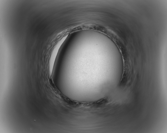 X0000083580773200703091657
