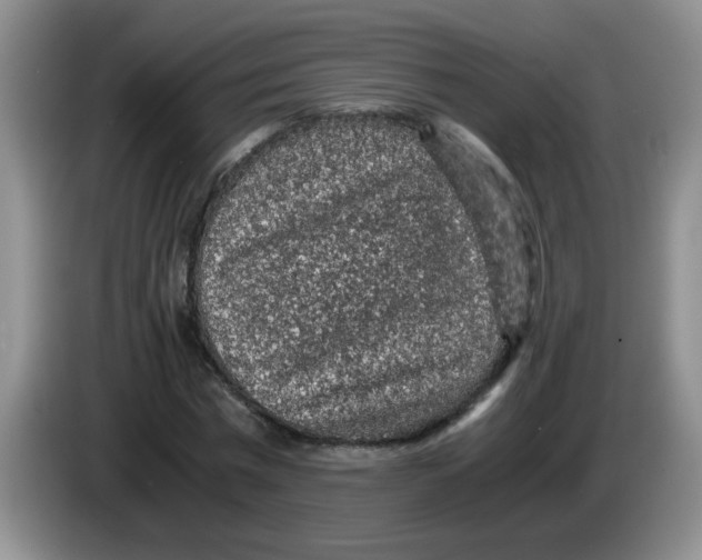 X0000083580777200703091657