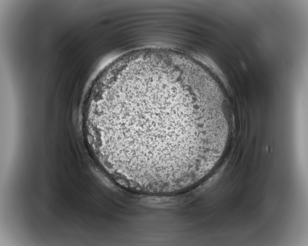 X0000083580780200703091657