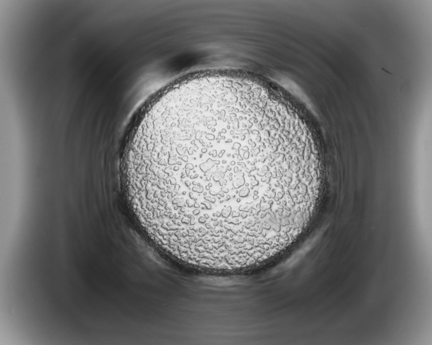 X0000083580781200703091657