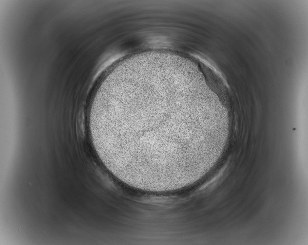 X0000083580782200703091657
