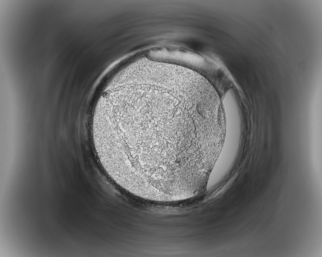 X0000083580783200703091657