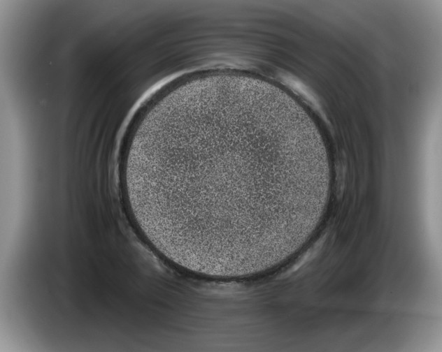 X0000083580784200703091657