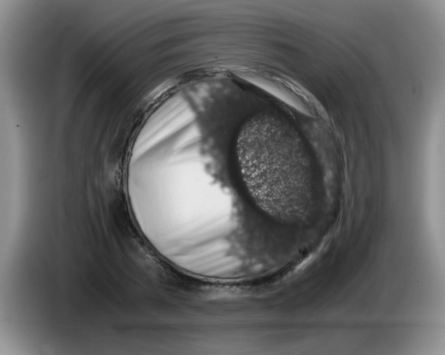 X0000083580785200703091657