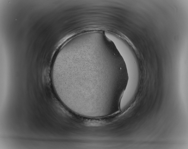 X0000083580786200703091657
