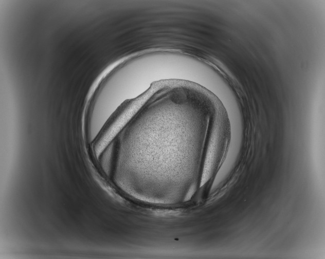 X0000083580788200703091657