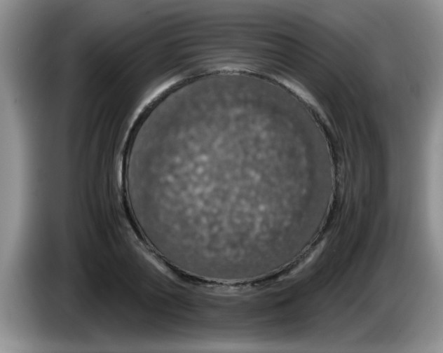 X0000083580790200703091657