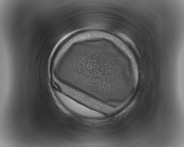 X0000083580792200703091657