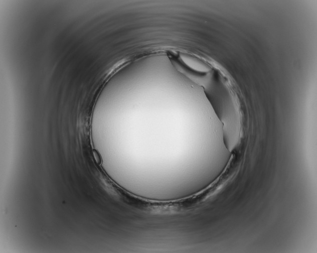 X0000083580793200703091657