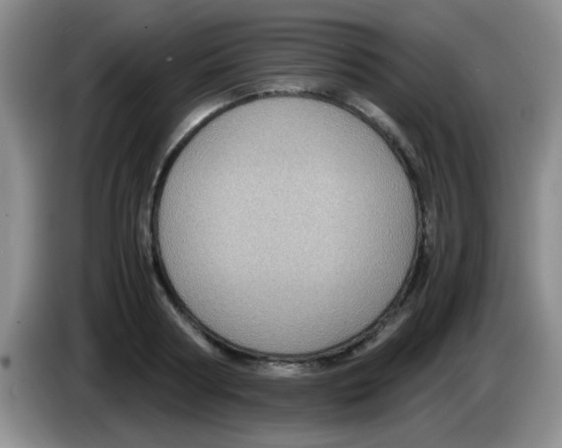 X0000083580794200703091657