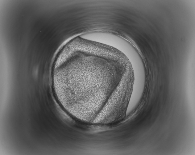 X0000083580795200703091657