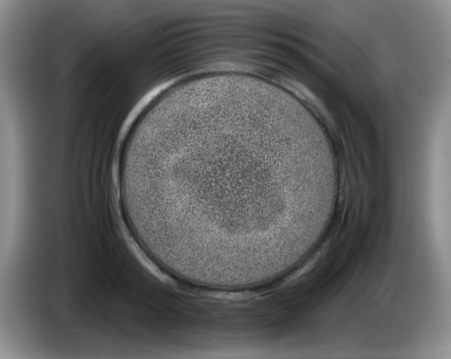 X0000083580796200703091657