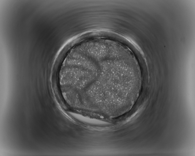X0000083580797200703091657