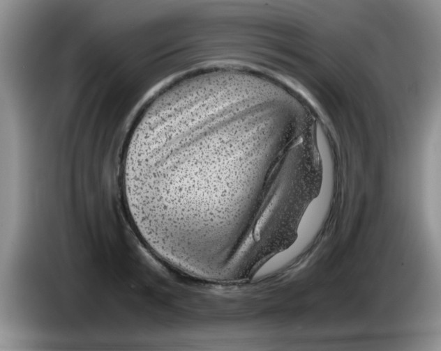 X0000083580799200703091657