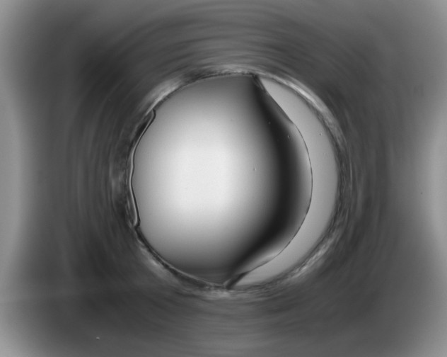 X0000083580801200703091657