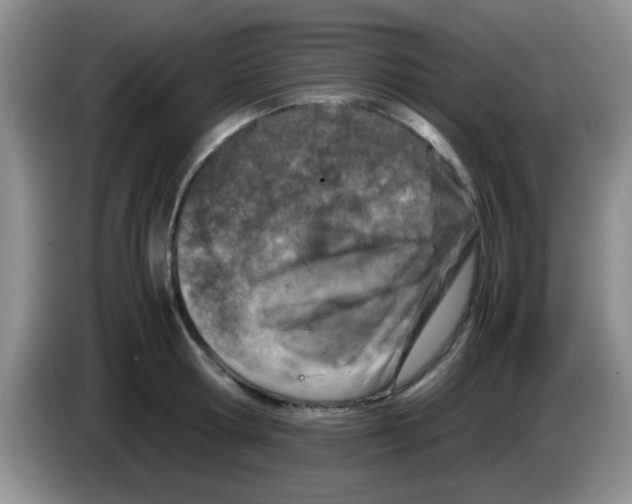 X0000083580802200703091657