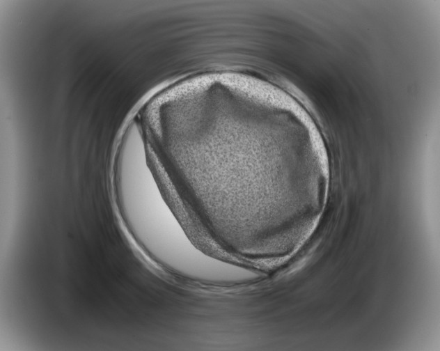 X0000083580803200703091657