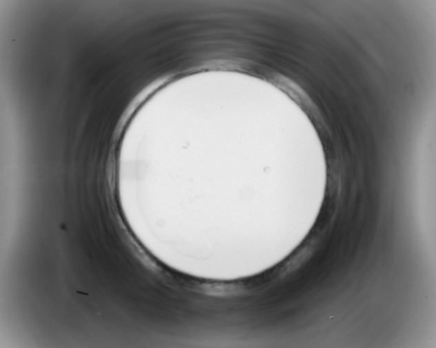 X0000083580804200703091657