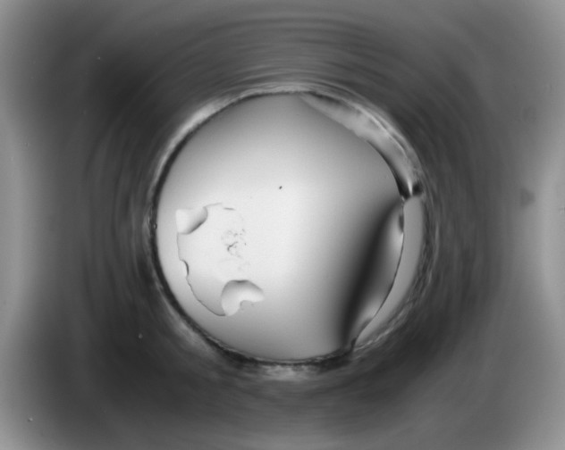 X0000083580805200703091657