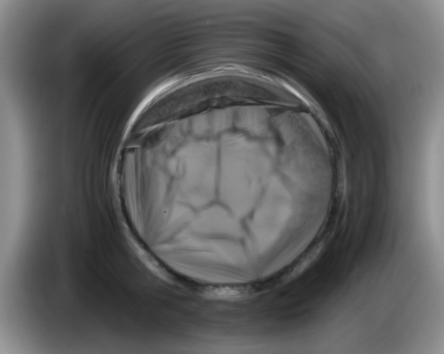 X0000083580806200703091657