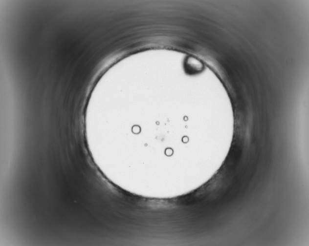 X0000083580807200703091657