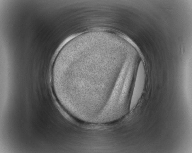 X0000083580811200703091657
