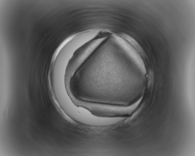 X0000083580812200703091657