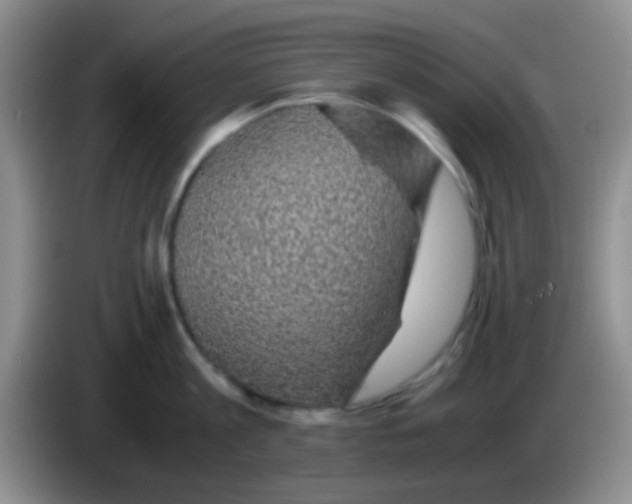 X0000083580813200703091657