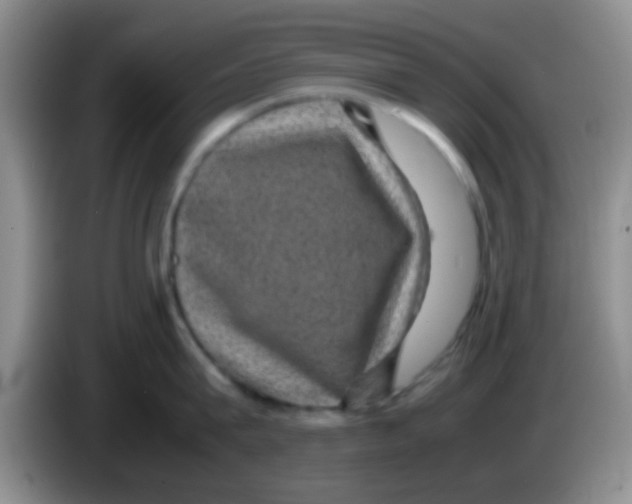 X0000083580815200703091657