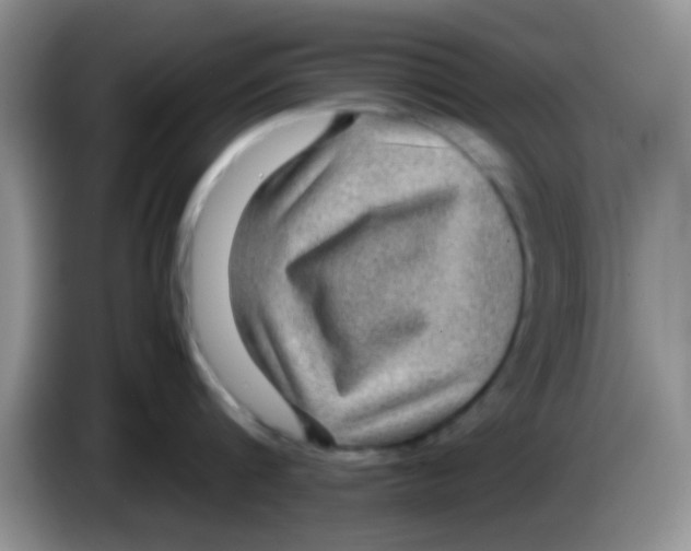 X0000083580816200703091657