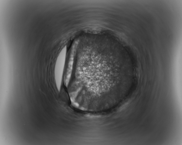 X0000083580818200703091656