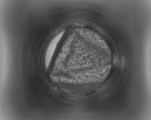 X0000083580819200703091656