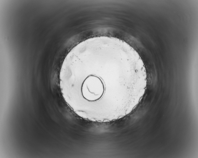 X0000083580820200703091656