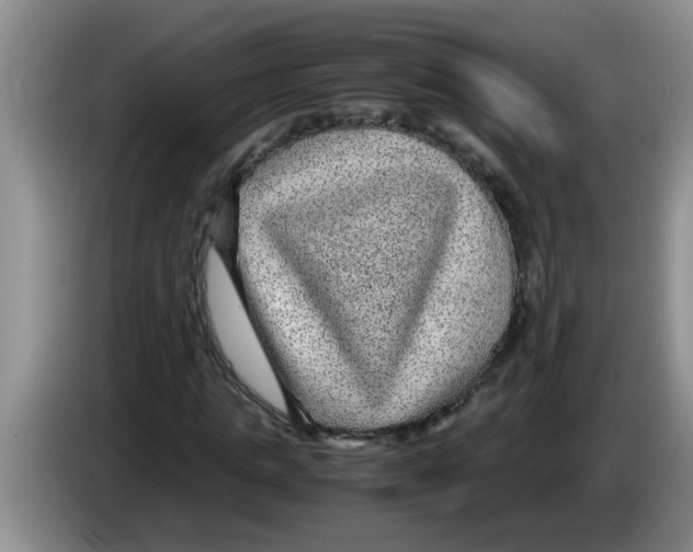 X0000083580821200703091656