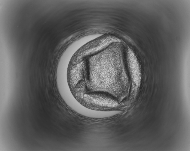 X0000083580822200703091656